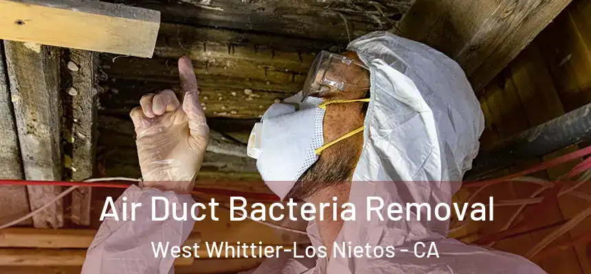 Air Duct Bacteria Removal West Whittier-Los Nietos - CA