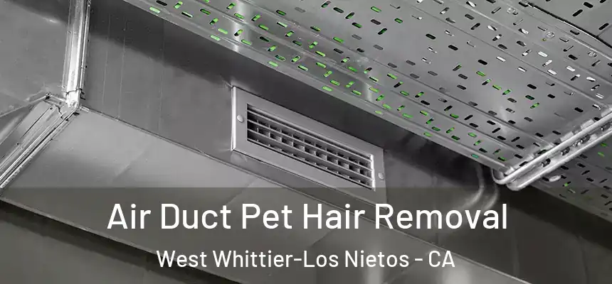 Air Duct Pet Hair Removal West Whittier-Los Nietos - CA