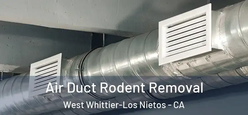 Air Duct Rodent Removal West Whittier-Los Nietos - CA