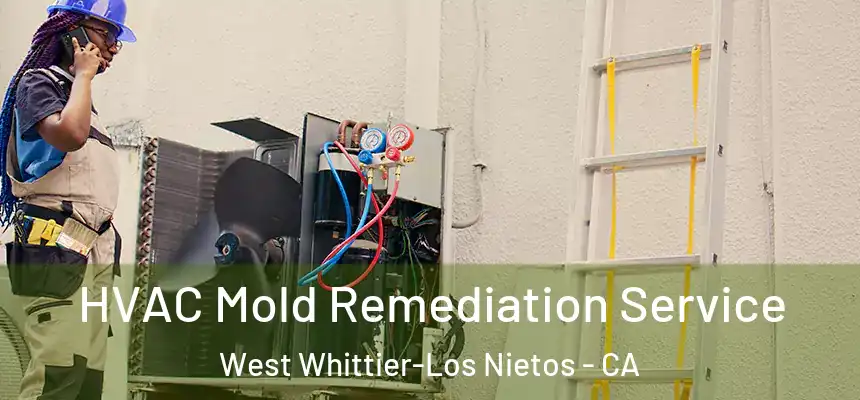 HVAC Mold Remediation Service West Whittier-Los Nietos - CA