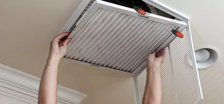 Preventive Cockroach-Proofing for Ducts in West Whittier-Los Nietos