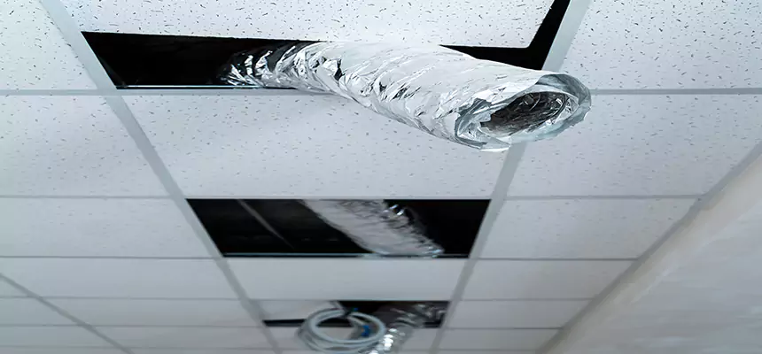 Affordable HVAC Sanitizing After Pest Removal in West Whittier-Los Nietos