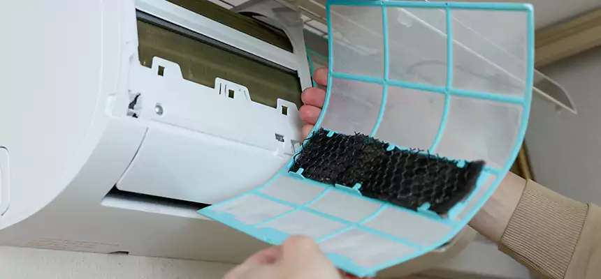 Gentle Ductwork Odor-Control Pet Dander Duct Cleaning in West Whittier-Los Nietos, CA