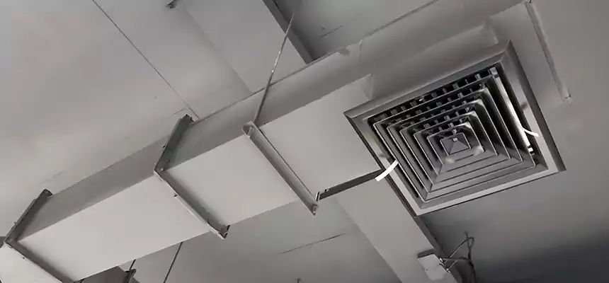 Our Rodent Droppings In Vents Services in West Whittier-Los Nietos, CA