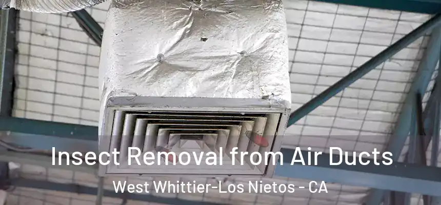 Insect Removal from Air Ducts West Whittier-Los Nietos - CA