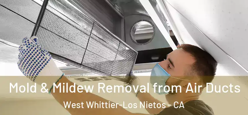 Mold & Mildew Removal from Air Ducts West Whittier-Los Nietos - CA