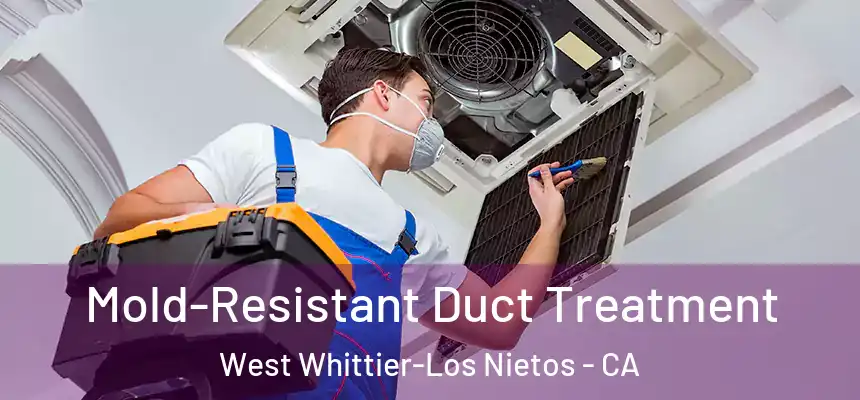 Mold-Resistant Duct Treatment West Whittier-Los Nietos - CA
