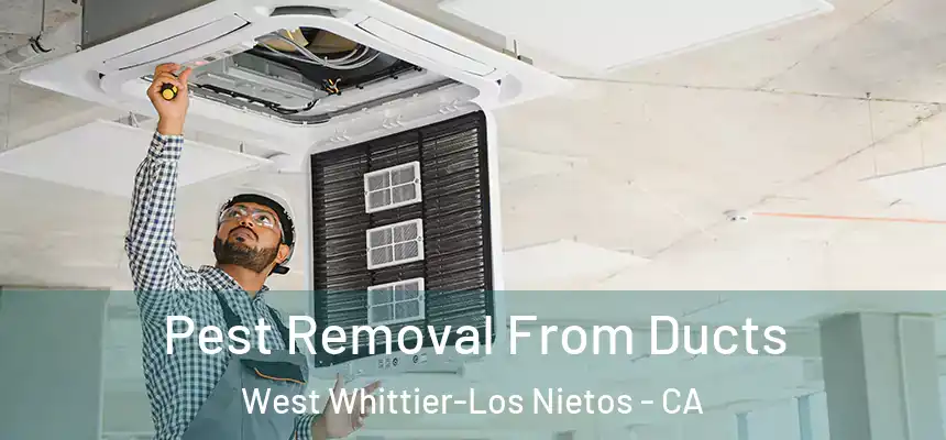  Pest Removal From Ducts West Whittier-Los Nietos - CA