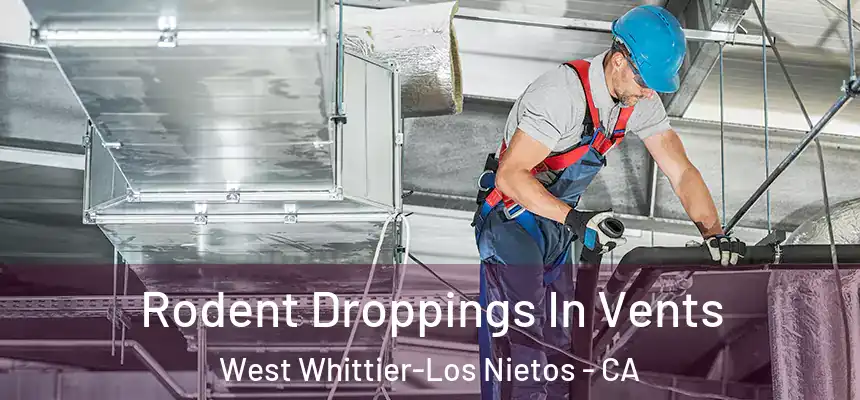  Rodent Droppings In Vents West Whittier-Los Nietos - CA
