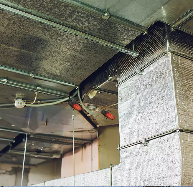 Why Homeowners & Businesses Trust Us in West Whittier-Los Nietos, CA?